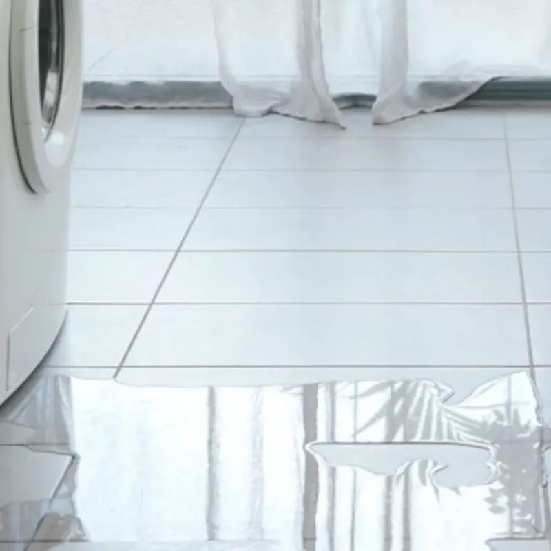 Appliance Leak Cleanup in Ripley, OH